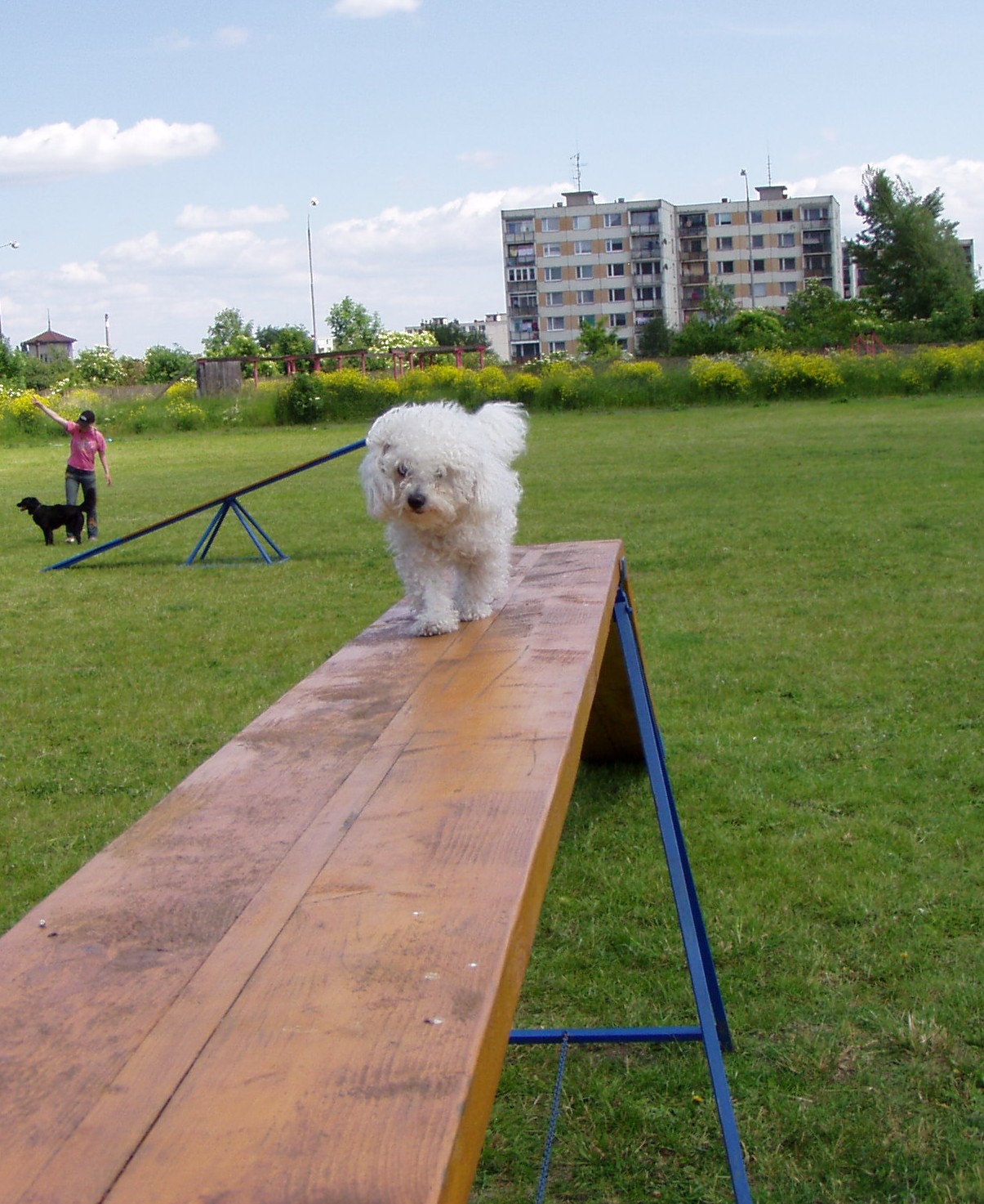 P1010036.JPG