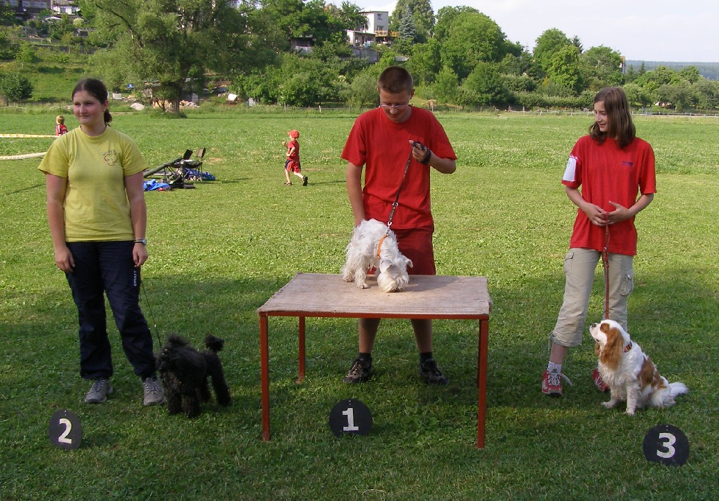 2006 červen Dvůr Králové.jpg
