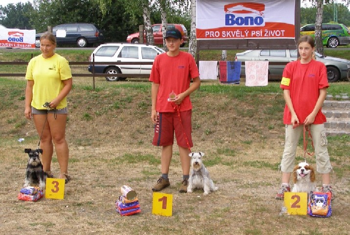 2006 Jaroměř.jpg
