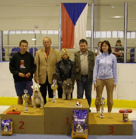2006 MRM součet.jpg