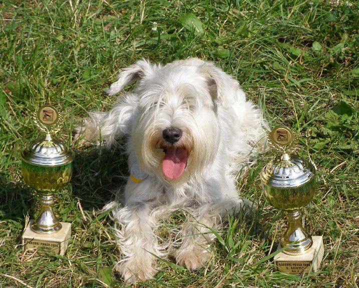 2006 Národní pohár ní  - Arny.jpg